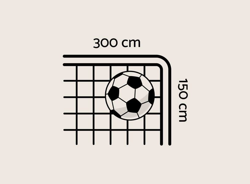 Fodboldmål Content Image 300X150