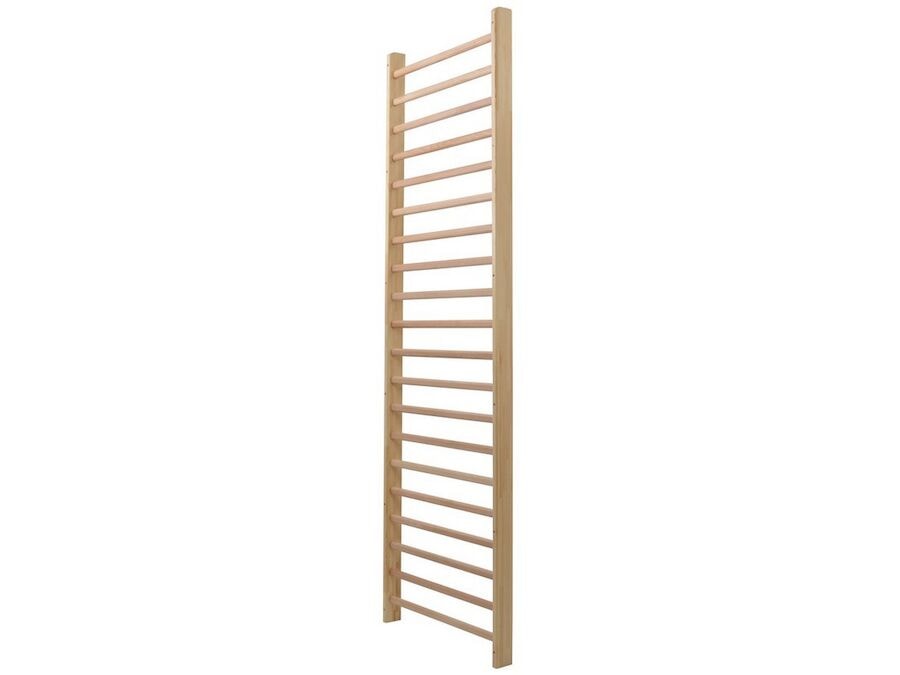 Enkel Ribbe, 20 ribber