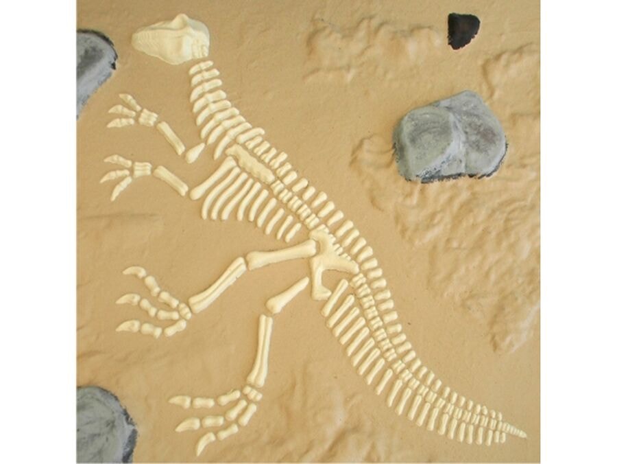 Discovery Dinosaurieskelettet Sandlek